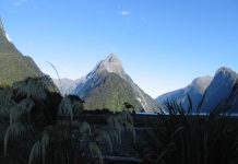 Maori beach