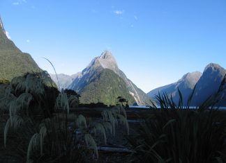 Maori beach