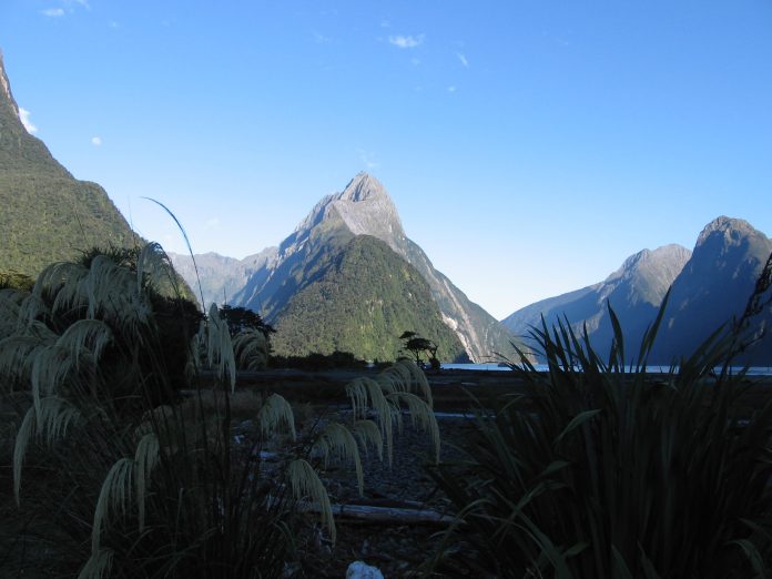 Maori beach