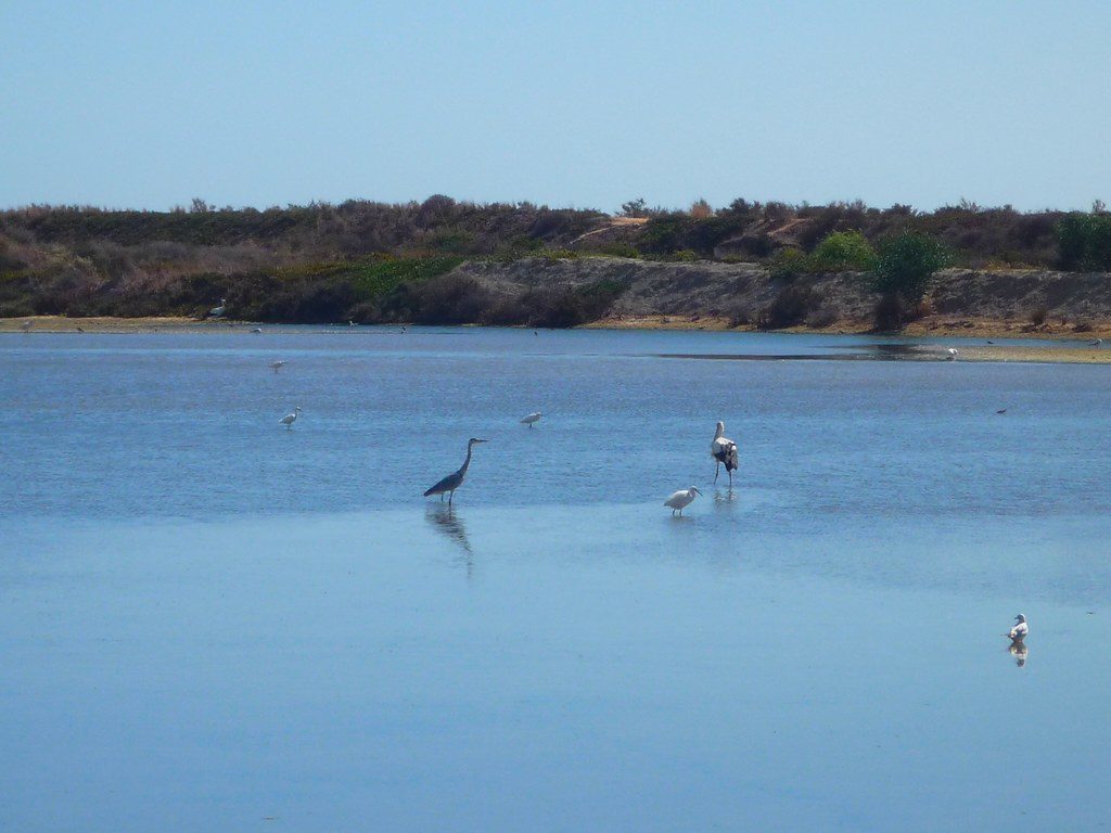 Ria Formosa National Park