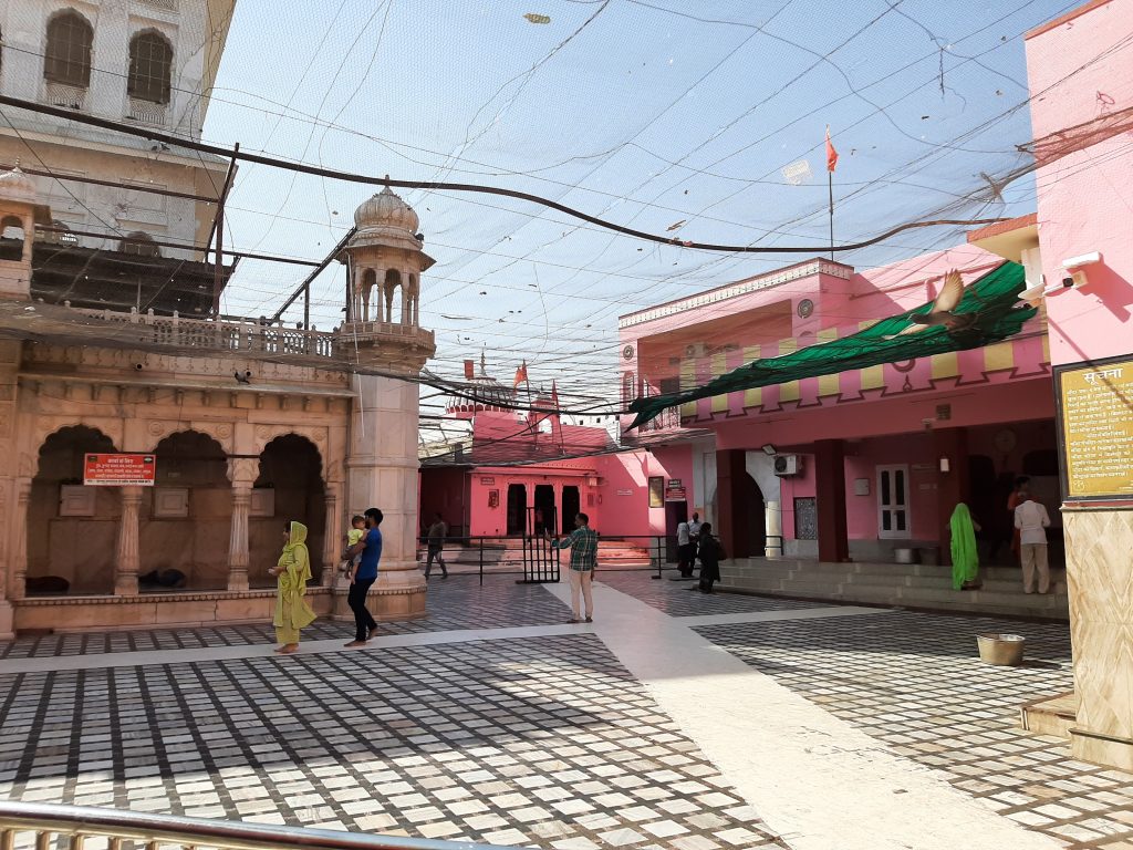 Karni Mata Rat Temple